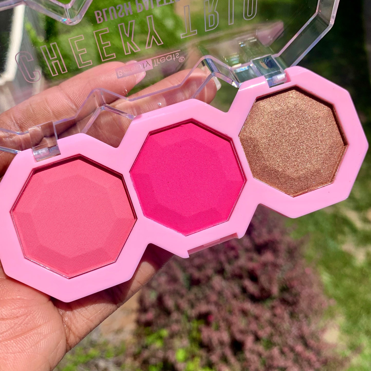 CHEEKY TRIO - BLUSH