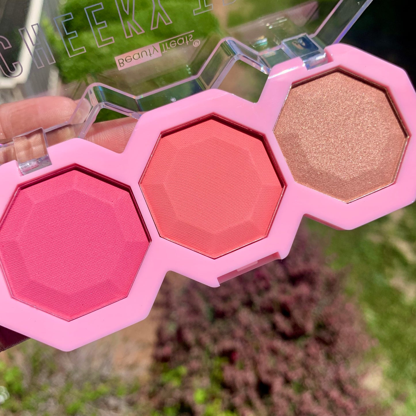 CHEEKY TRIO - BLUSH 2