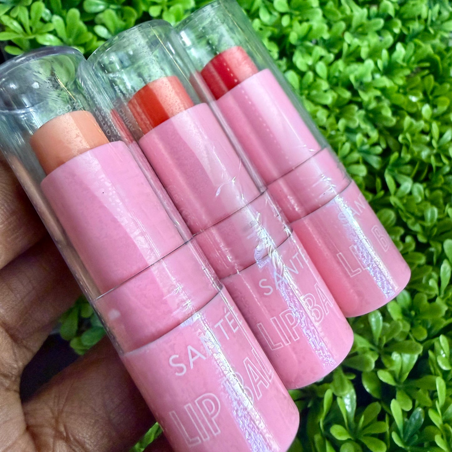 Tinted Lip Balm