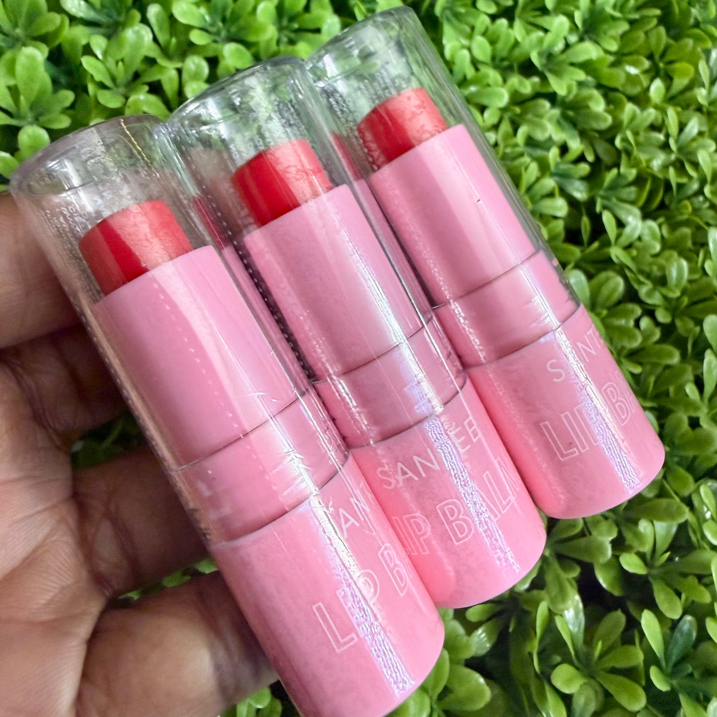 Tinted Lip Balm