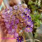 Purple Flower Beaded Bracelet